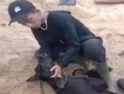 Sapinya Mati, Pemuda di Pudak menangis Pilu