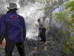 Kemarau, Hutan di Biting Badegan Kebakaran