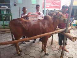 Semangat Berbagi di hari Raya Idul Adha, MPM Honda Jatim Salurkan Hewan Kurban Untuk Warga Sekitar.