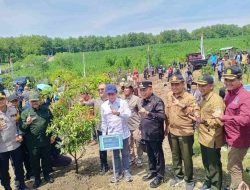 Perhutani KPH Madiun Tanam 10.000 Pohon Bersama Menteri Lingkungan Hidup di Kawasan Waduk Bendo Ponorogo