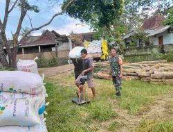 Pastikan harga Gabah Rp 6.500,- per kilo, TNI dampingi Bulog Ponorogo saat Beli Gabah Petani