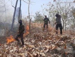 Respons Cepat Polres Ponorogo & Tim Gabungan Berhasil Jinakkan Karhutla di Sampung