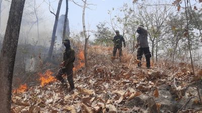 Polsek Sampung bersama tim gabungan serta para relawan, potensi kebakaran berskala besar berhasil digagalkan sebelum meluas